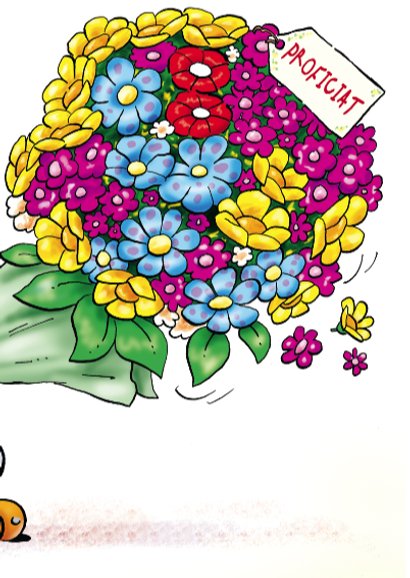 Felicitatiekaart Rocco gefeliciteerd 2 rocco met bloemen 3