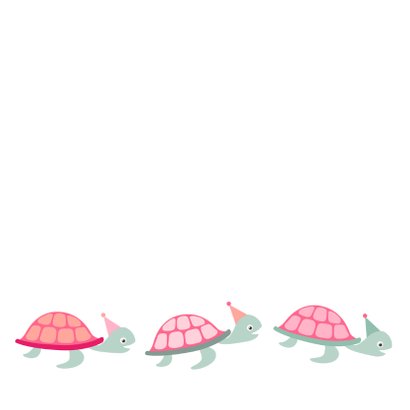 Felicitatiekaart te laat schildpad - HB 2