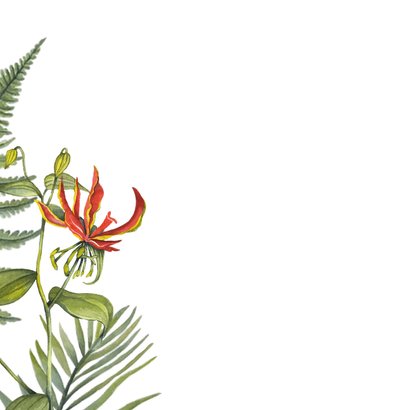 Felicitatiekaart tropische bloemen 2