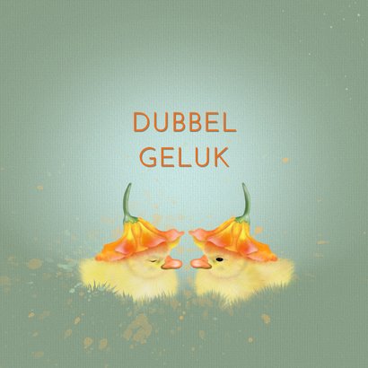 Felicitatiekaart tweeling eendjes onder bloemkelk 2