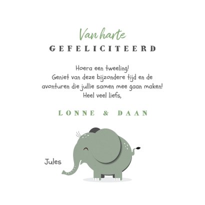 Felicitatiekaart tweeling jongen meisje mintgroen olifantjes 3