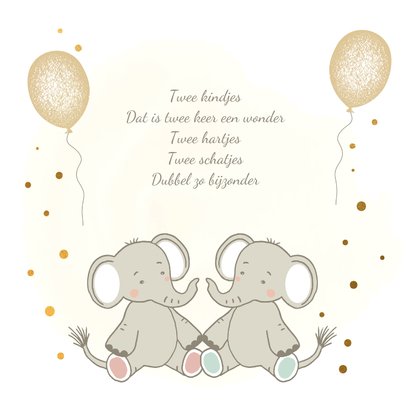 Felicitatiekaart tweeling olifantjes hello little ones 2