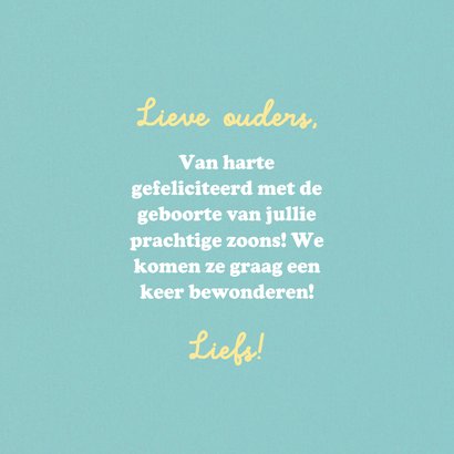 Felicitatiekaart tweeling tijgertjes 3