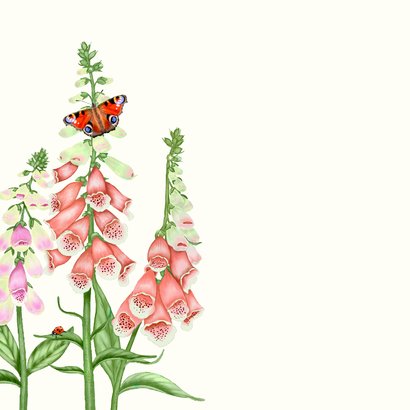 Felicitatiekaart vingerhoedskruid 2