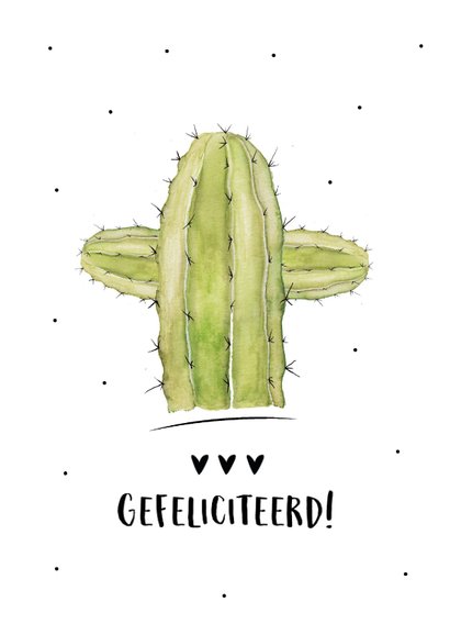 Felicitatiekaart voor een nieuwe woning met mooi cactus 2