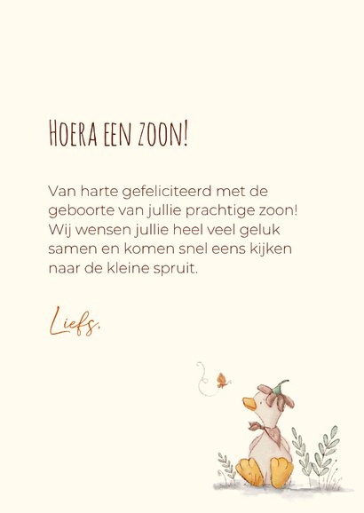 Felicitatiekaart voor geboorte zoon 3