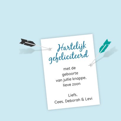Felicitatiekaart vos geboorte zoon 3