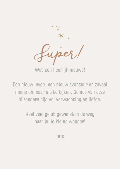 Felicitatiekaart zwanger beertje in luchtballon 3