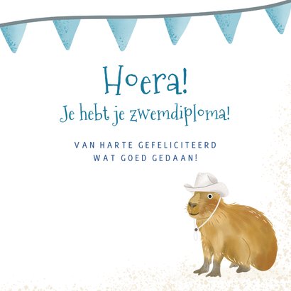 Felicitatiekaart zwemdiploma tapir in zwembad met vlaggen 3