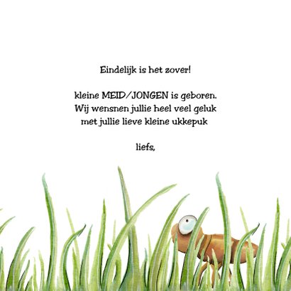 Felicitatiekaarten geboorte joehoew sprinkhaan 3