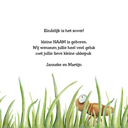 Felicitatiekaarten geboorte joehoew sprinkhaan 3