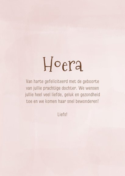Felicitatiekaartje bruin draakje voor geboorte 3