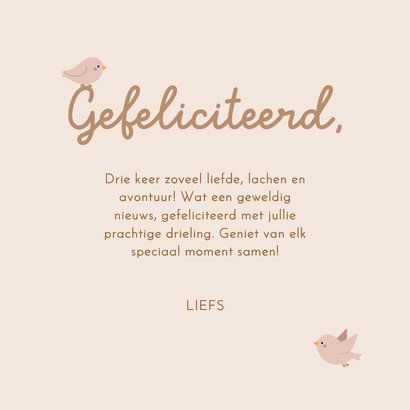 Felicitatiekaartje drieling beige met waslijn en vogels 3