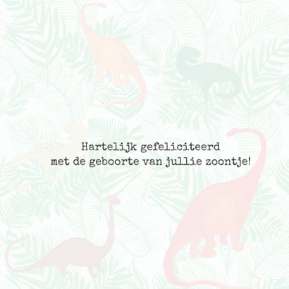 Felicitatiekaartje geboorte Dino 3