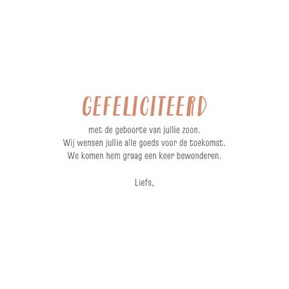 Felicitatiekaartje geboorte een trein met dieren 3