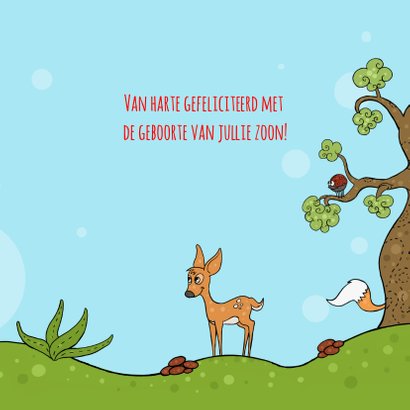 Felicitatiekaartje geboorte met beestjes 2