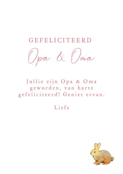 Felicitatiekaartje hoera een kleindochter wiegje kabouter 3