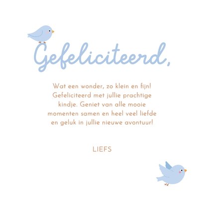 Felicitatiekaartje jongen met waslijn rompertje en vogels 3