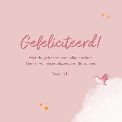 Felicitatiekaartje meisje met dieren en papieren vliegtuigje 3