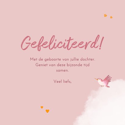 Felicitatiekaartje meisje met dieren en papieren vliegtuigje 3