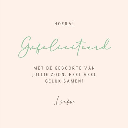 Felicitatiekaartje met een koala in groene auto 3