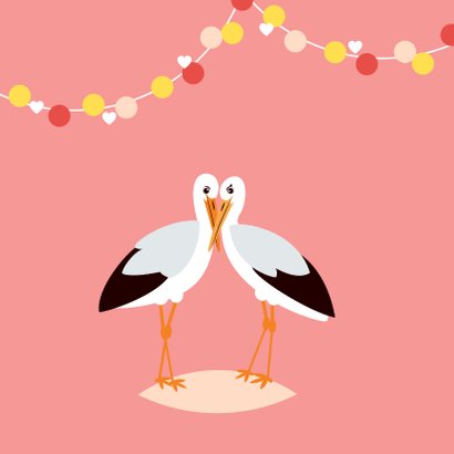 Felicitatiekaartje met lieve ooievaars in roze 2