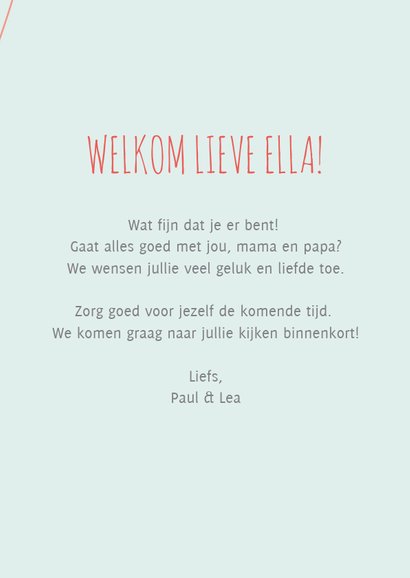Felicitatiekaartje met vrolijke dieren in een luchtballon 3