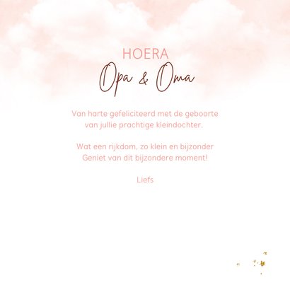 Felicitatiekaartje opa en oma olifantje ballonnen 3