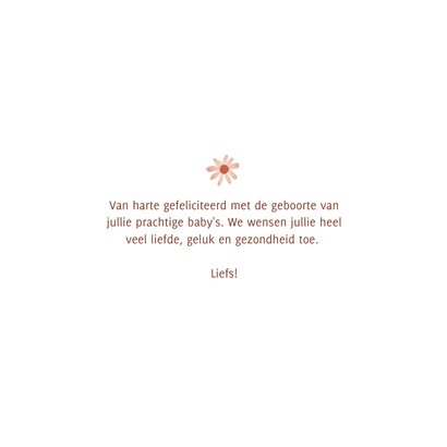 Felicitatiekaartje tweeling twee eekhoorntjes bloemetjes 3