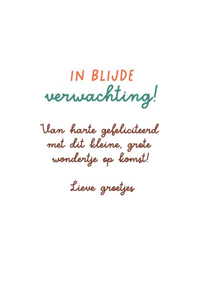 Felicitatiekaartje zwangerschap waslijn en ooievaar 3