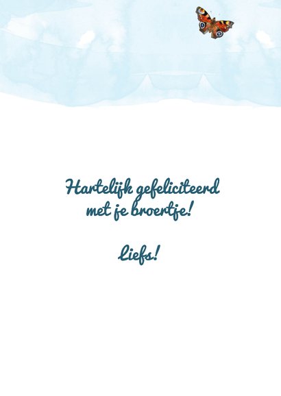 Felicititatiekaart 'Hoera een broertje' kabouter en dieren 3