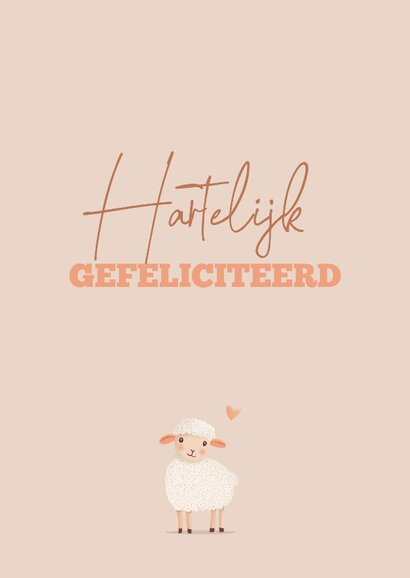 Felicititatiekaart klein lammetje met zachte tinten 3