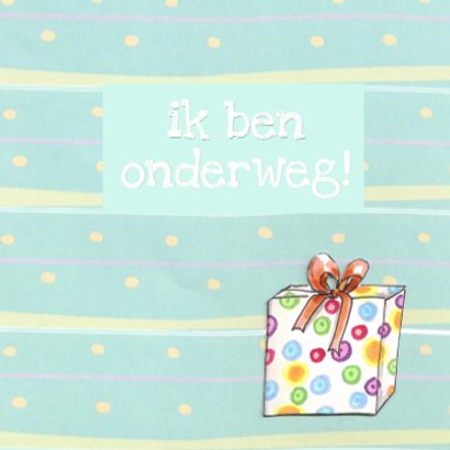 fietsend feestvarken II 3