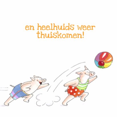 fijne vakantie Auto Varkens 3