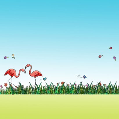 Flamingo en VW bus 2