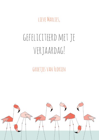 Flamingo familie 3