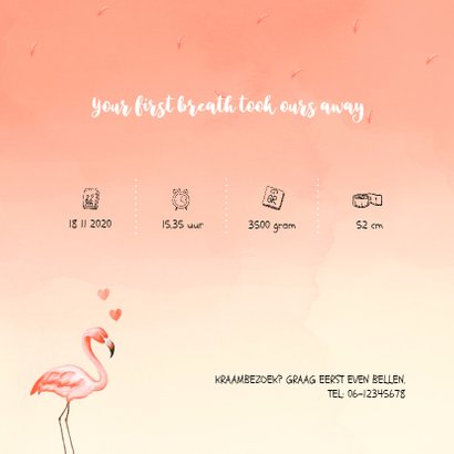 Flamingo geboortekaartje koraal 2