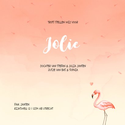 Flamingo geboortekaartje koraal 3