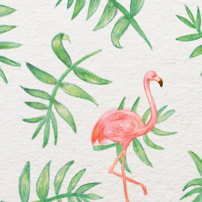 Flamingo Party - KO 2