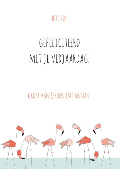 Flamingo 3