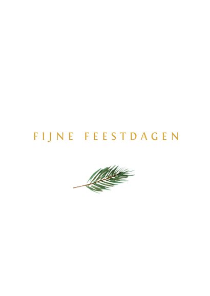 Foto kerstkaart met okergele tekst en groen takje 3