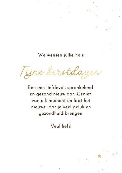 Fotokaart grote foto sterrenkader fijne kerstdagen 3