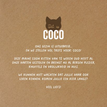 Fotokaart welkom kat kitten aankondiging 3