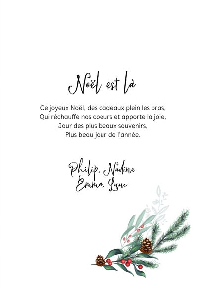 Franstalige kerstkaart met eigen foto en kersttakken 3