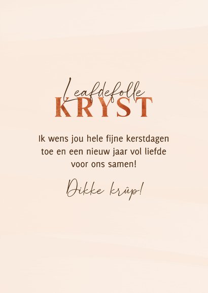 Friese kerstkaart twee egeltjes en Leafdevolle Kryst 3