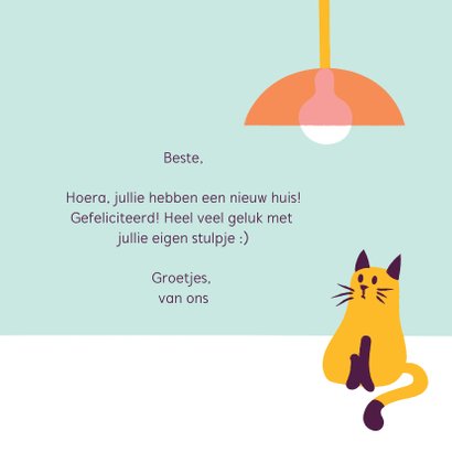 Fryske kaartsjes nij hûs poes kat cactus vetplant 3