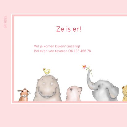 Geboorte Baby diertjes meisje 2