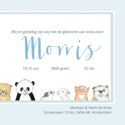 Geboorte - Baby diertjes 3