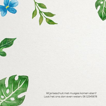 Geboorte bladeren jongen - DH 2