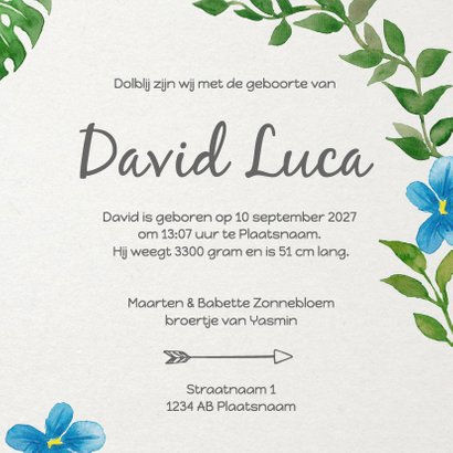 Geboorte bladeren jongen - DH 3
